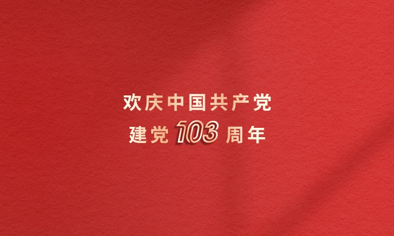 砥砺前行 低空高飞 | 庆建党103周年，俄罗斯专享会294官网岳阳、漯河双党支部成立